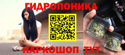 СК Тверь