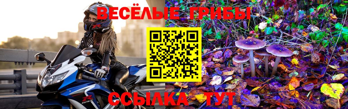 Бугуруслан  Галлюциногенные грибы Psilocybine cubensis  купить   Вход с VPN 