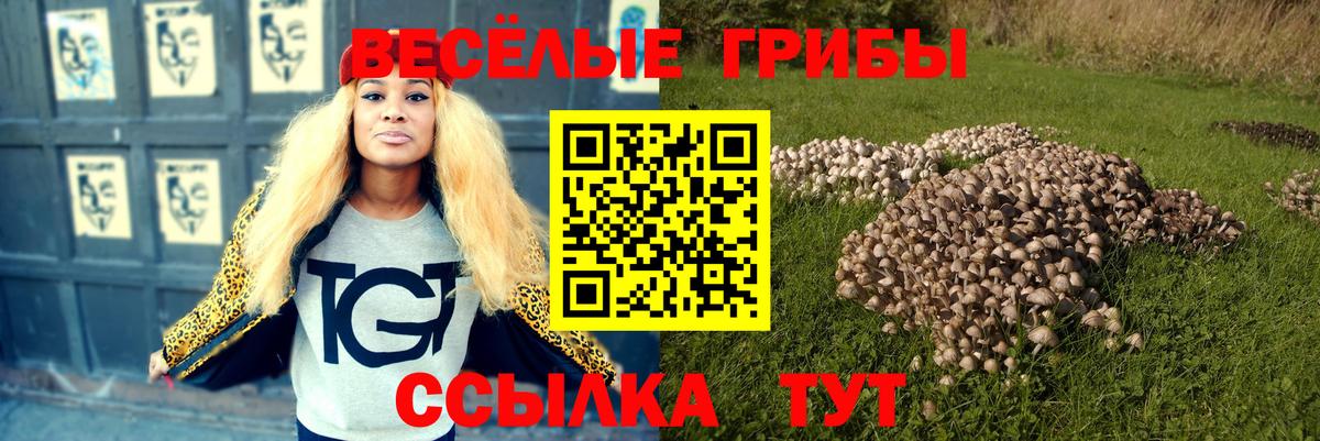 Галлюциногенные грибы прущие грибы Бугуруслан